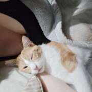 ヒメ日記 2025/11/06 11:36 投稿 あい Limited SPA(リミテッドスパ)