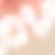 ヒメ日記 2026/03/11 19:44 投稿 あい Limited SPA(リミテッドスパ)