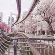 ヒメ日記 2026/03/31 08:50 投稿 あい Limited SPA(リミテッドスパ)