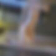 ヒメ日記 2026/04/26 19:42 投稿 あい Limited SPA(リミテッドスパ)