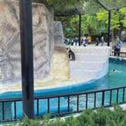 ヒメ日記 2025/07/11 22:06 投稿 なずな【卓越した感度はMAX】 仙台大人の秘密倶楽部