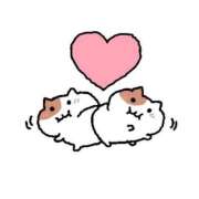 ヒメ日記 2025/11/23 13:31 投稿 ゆら 金瓶梅(きんぺいぱい)(雄琴)