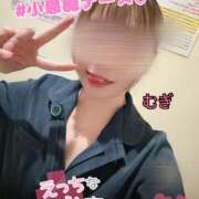 ヒメ日記 2025/07/28 09:01 投稿 むぎ ○コキクリニック～○○クリニックシリーズ～