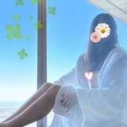 ヒメ日記 2025/05/11 15:06 投稿 りり 錦糸町人妻花壇