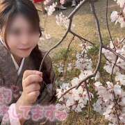 ヒメ日記 2026/04/11 18:03 投稿 【SP】あきら サマンサ(和歌山)