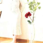 ヒメ日記 2025/04/07 12:40 投稿 森木 美和 熟女・人妻マダム宮殿