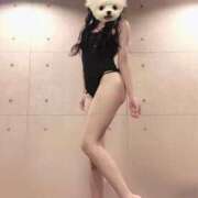 ヒメ日記 2025/07/20 10:48 投稿 はるかぜ チューリップ福井本館