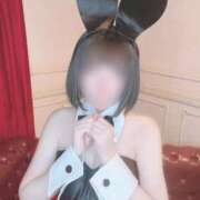 ヒメ日記 2025/09/16 16:34 投稿 はるかぜ チューリップ福井本館