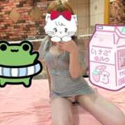 ヒメ日記 2025/10/03 19:37 投稿 はるかぜ チューリップ福井本館