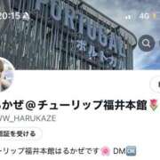 ヒメ日記 2025/10/24 10:45 投稿 はるかぜ チューリップ福井本館