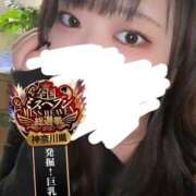 ヒメ日記 2025/11/11 02:55 投稿 ちい One More奥様　横浜関内店