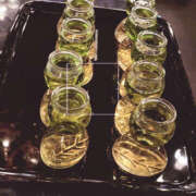 らんか 久しぶり･･･？ マシュマロフロート