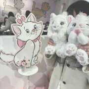 ヒメ日記 2025/05/25 14:51 投稿 はる 桜フェアリーテイル