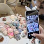 ヒメ日記 2025/07/15 12:12 投稿 はる 桜フェアリーテイル