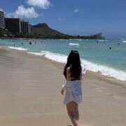 ヒメ日記 2025/09/15 11:44 投稿 はる 桜フェアリーテイル