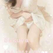 ヒメ日記 2025/04/15 16:20 投稿 さくや 池袋マリン別館