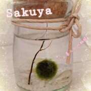 ヒメ日記 2025/05/24 14:20 投稿 さくや 池袋マリン別館