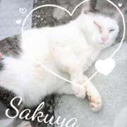 ヒメ日記 2025/07/04 21:20 投稿 さくや 池袋マリン別館