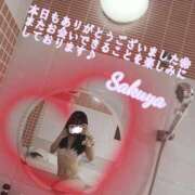 ヒメ日記 2025/09/15 16:55 投稿 さくや 池袋マリン別館