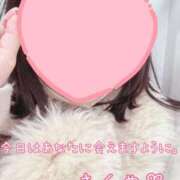 ヒメ日記 2026/01/17 05:15 投稿 さくや 池袋マリン別館