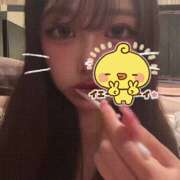 ヒメ日記 2025/05/17 20:04 投稿 しき ビギナーズ和歌山