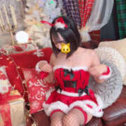 しき にゃんにゃんしきにゃん ビギナーズ和歌山