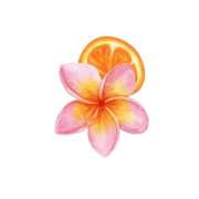 ヒメ日記 2025/08/10 19:45 投稿 せいな リッチドールパート2梅田店