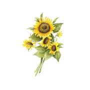 ヒメ日記 2025/08/25 00:45 投稿 せいな リッチドールパート2梅田店