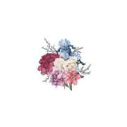 ヒメ日記 2025/09/10 01:15 投稿 せいな リッチドールパート2梅田店