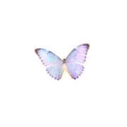 ヒメ日記 2025/10/14 20:10 投稿 せいな リッチドールパート2梅田店