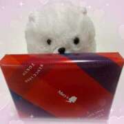 ヒメ日記 2025/04/12 20:31 投稿 セイラ おじさま大好き素人オナクラ谷九店