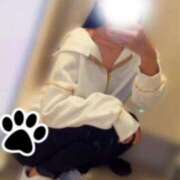 ヒメ日記 2025/05/15 19:46 投稿 セイラ おじさま大好き素人オナクラ谷九店