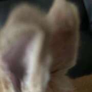 ヒメ日記 2025/09/16 16:01 投稿 和久井 香 30代40代50代と遊ぶなら博多人妻専科24時