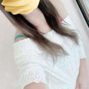 ヒメ日記 2025/09/24 14:00 投稿 和久井 香 30代40代50代と遊ぶなら博多人妻専科24時