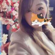 ヒメ日記 2026/03/16 12:11 投稿 和久井 香 30代40代50代と遊ぶなら博多人妻専科24時