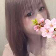 ヒメ日記 2026/04/01 01:31 投稿 和久井 香 30代40代50代と遊ぶなら博多人妻専科24時