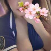 ヒメ日記 2026/04/03 14:10 投稿 和久井 香 30代40代50代と遊ぶなら博多人妻専科24時
