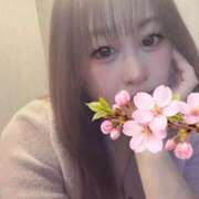 ヒメ日記 2026/04/04 11:13 投稿 和久井 香 30代40代50代と遊ぶなら博多人妻専科24時