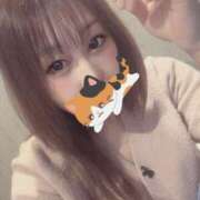 ヒメ日記 2026/04/13 11:31 投稿 和久井 香 30代40代50代と遊ぶなら博多人妻専科24時