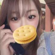 ヒメ日記 2026/04/28 12:12 投稿 和久井 香 30代40代50代と遊ぶなら博多人妻専科24時