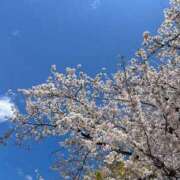 ヒメ日記 2025/04/06 20:46 投稿 なみ ジュリアングループ三多摩店