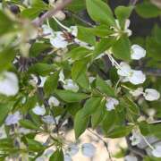 ヒメ日記 2025/04/12 23:28 投稿 ことは 美妻隊