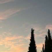 ヒメ日記 2025/06/30 19:22 投稿 ことは 美妻隊