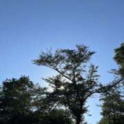 ヒメ日記 2025/07/21 23:13 投稿 ことは 美妻隊