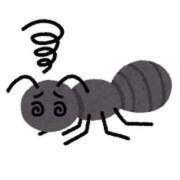 ヒメ日記 2025/04/13 10:57 投稿 えりな 岐阜岐南各務原ちゃんこ