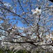 ヒメ日記 2025/05/10 01:17 投稿 えりな 岐阜岐南各務原ちゃんこ