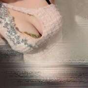 ヒメ日記 2025/04/11 15:02 投稿 まおり Evolution 2nd