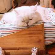 ヒメ日記 2025/04/15 00:16 投稿 富山　えいみ アロマキュアシス 吉祥寺