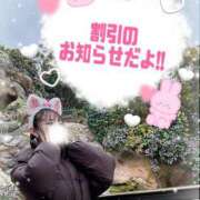 ヒメ日記 2025/04/13 05:42 投稿 ちっぷ お姉京都