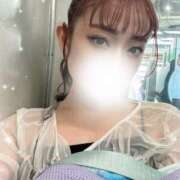 ヒメ日記 2025/08/06 09:02 投稿 ちっぷ お姉京都